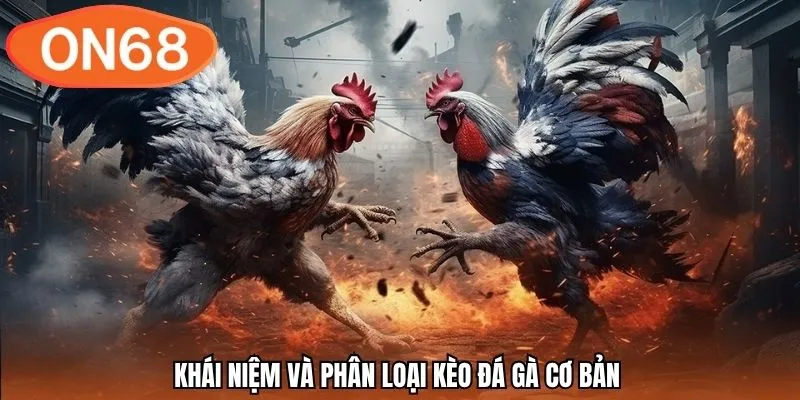 Khái niệm và phân loại kèo đá gà cơ bản 