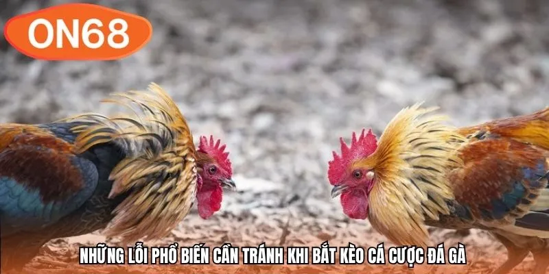 Những lỗi phổ biến cần tránh khi bắt kèo cá cược đá gà 