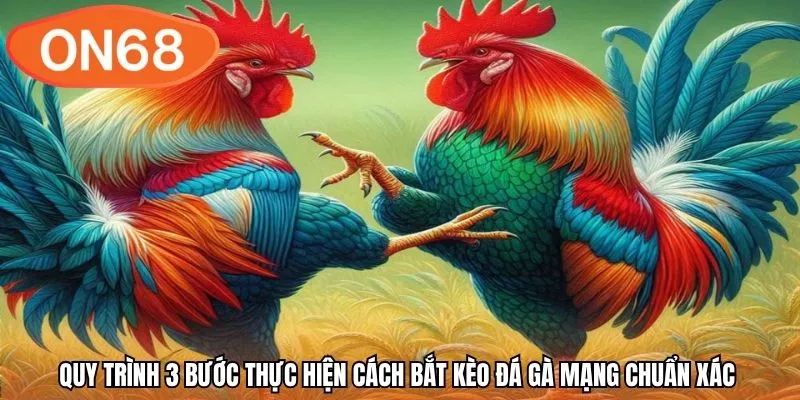 Quy trình 3 bước thực hiện cách bắt kèo đá gà mạng chuẩn xác 